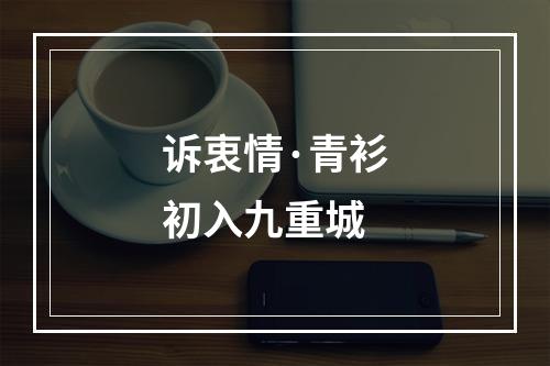 诉衷情·青衫初入九重城
