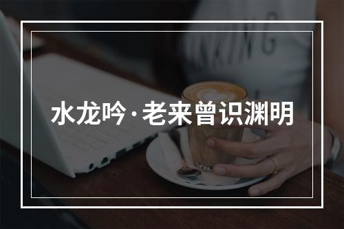 水龙吟·老来曾识渊明