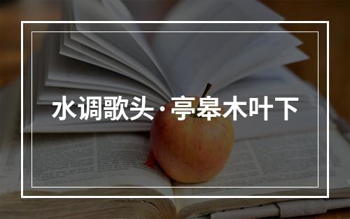水调歌头·亭皋木叶下