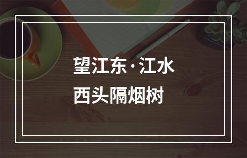 望江东·江水西头隔烟树