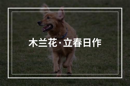 木兰花·立春日作