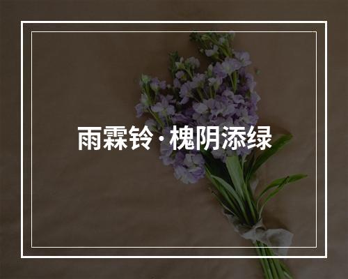 雨霖铃·槐阴添绿