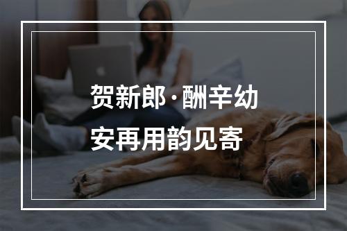 贺新郎·酬辛幼安再用韵见寄