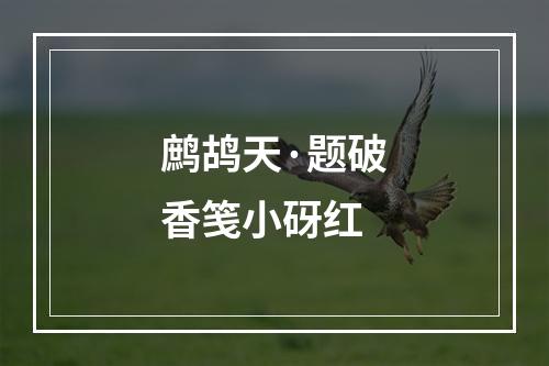 鹧鸪天·题破香笺小砑红