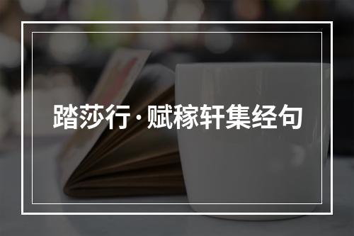 踏莎行·赋稼轩集经句