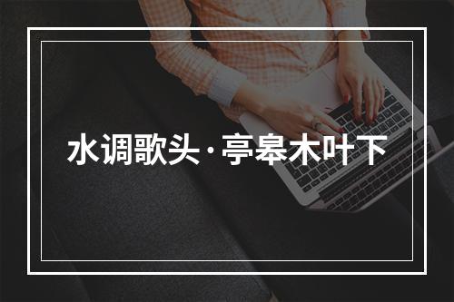 水调歌头·亭皋木叶下