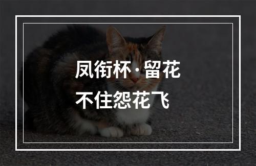 凤衔杯·留花不住怨花飞