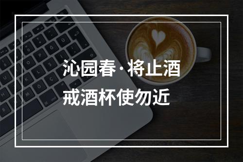 沁园春·将止酒戒酒杯使勿近