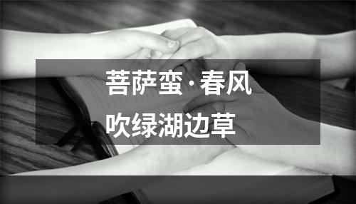 菩萨蛮·春风吹绿湖边草