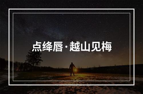 点绛唇·越山见梅