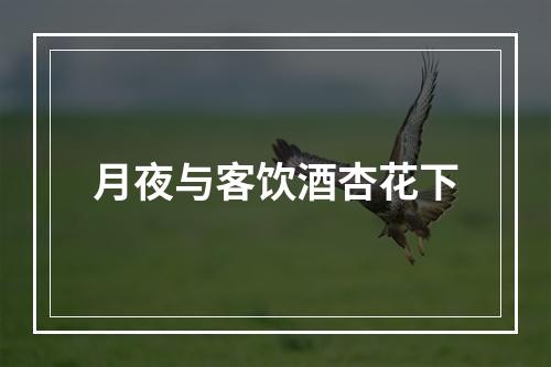 月夜与客饮酒杏花下