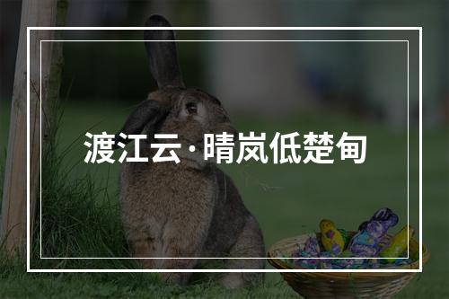 渡江云·晴岚低楚甸