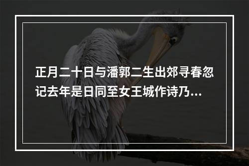 正月二十日与潘郭二生出郊寻春忽记去年是日同至女王城作诗乃和前韵