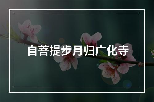 自菩提步月归广化寺