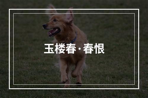 玉楼春·春恨