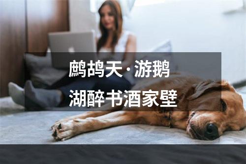 鹧鸪天·游鹅湖醉书酒家壁