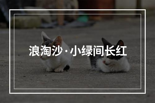 浪淘沙·小绿间长红