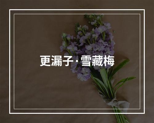 更漏子·雪藏梅