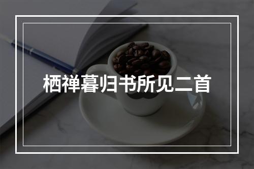 栖禅暮归书所见二首