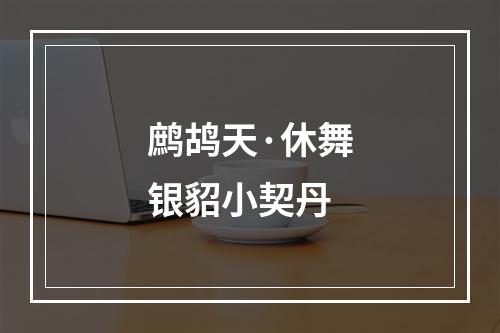 鹧鸪天·休舞银貂小契丹