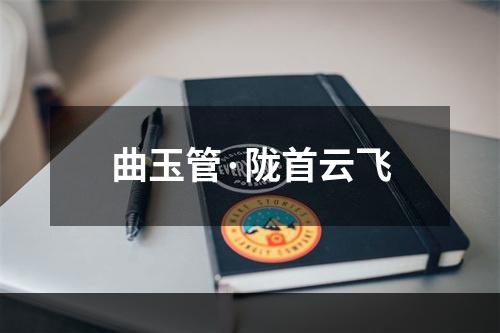 曲玉管·陇首云飞