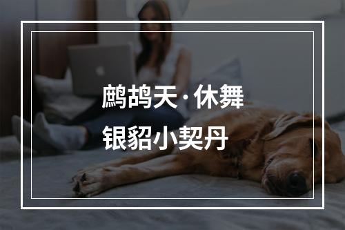 鹧鸪天·休舞银貂小契丹