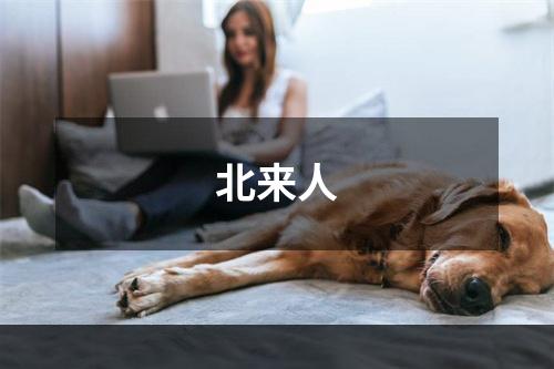 北来人