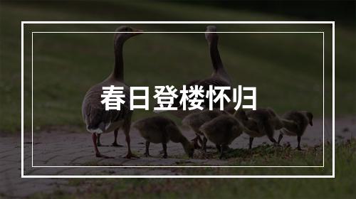 春日登楼怀归