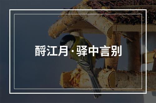 酹江月·驿中言别