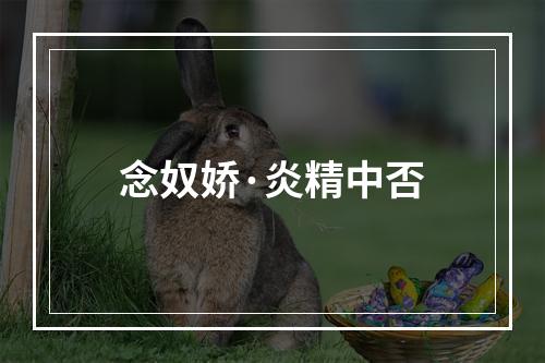 念奴娇·炎精中否