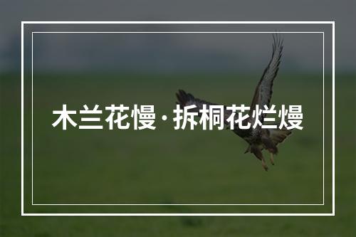 木兰花慢·拆桐花烂熳