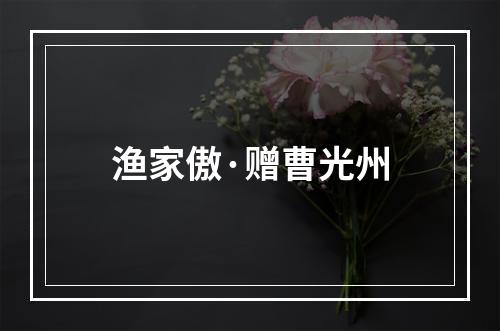 渔家傲·赠曹光州