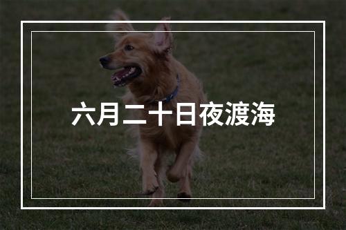 六月二十日夜渡海