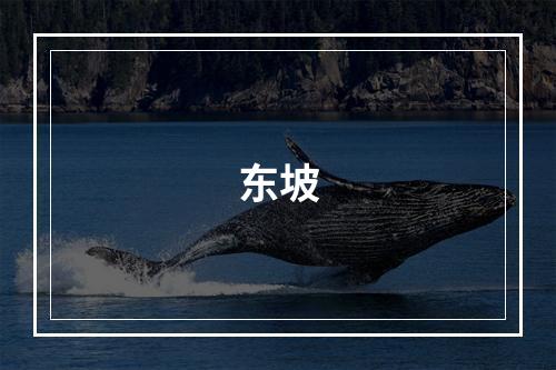 东坡