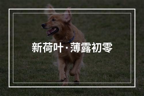 新荷叶·薄露初零