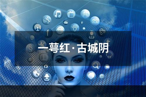一萼红·古城阴