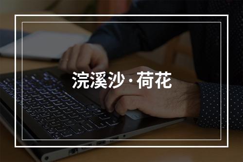 浣溪沙·荷花