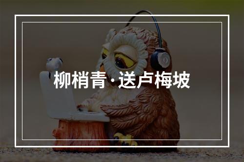 柳梢青·送卢梅坡