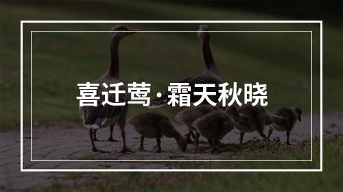 喜迁莺·霜天秋晓