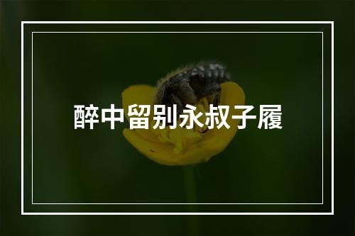 醉中留别永叔子履