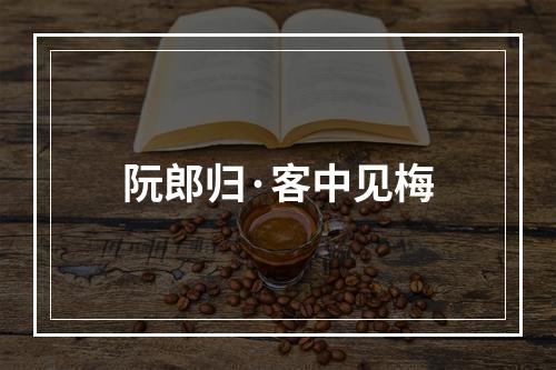 阮郎归·客中见梅
