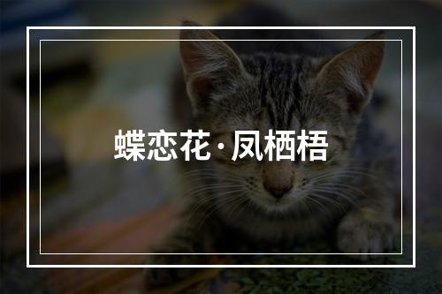 蝶恋花·凤栖梧