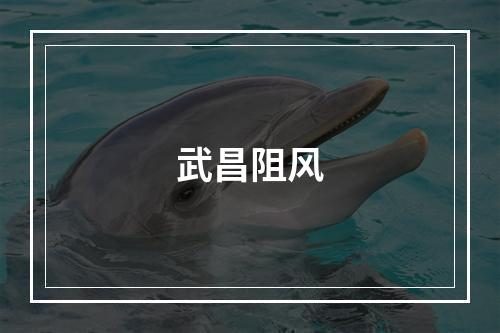 武昌阻风