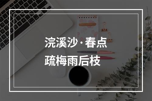 浣溪沙·春点疏梅雨后枝