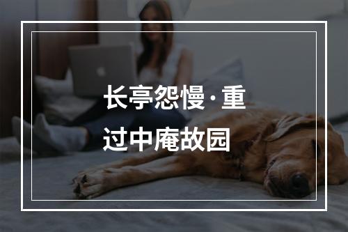 长亭怨慢·重过中庵故园