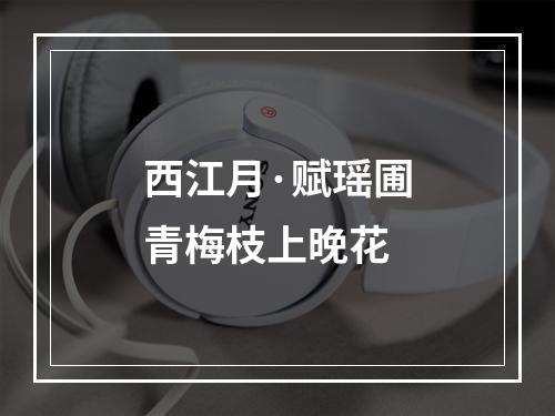 西江月·赋瑶圃青梅枝上晚花