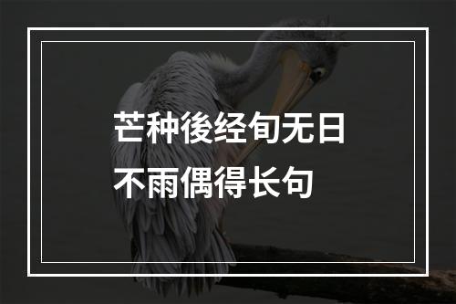 芒种後经旬无日不雨偶得长句