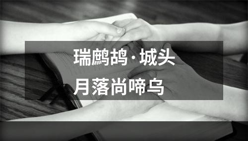 瑞鹧鸪·城头月落尚啼乌