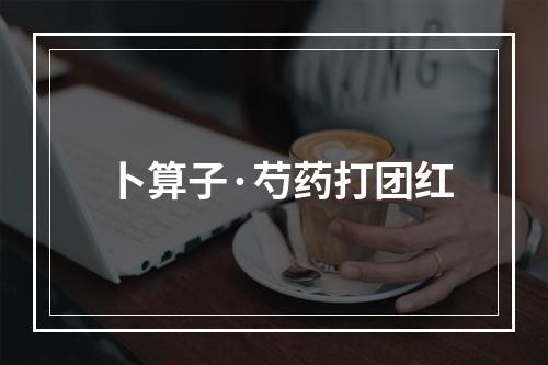 卜算子·芍药打团红
