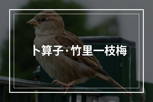 卜算子·竹里一枝梅